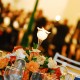 Previous Project: Formatura Farmácia<br> PUC 2010